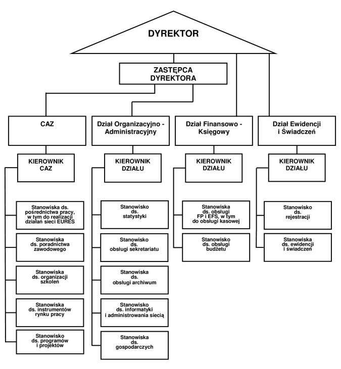 Schemat strukttury organizacyjnej 